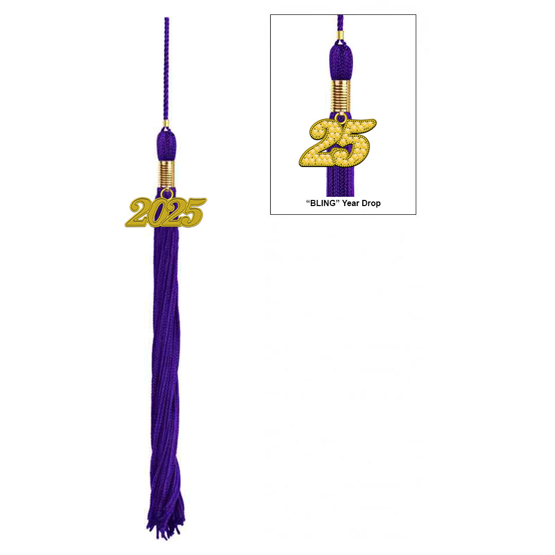 Matte Purple Bachelors Cap & Gown - College & University