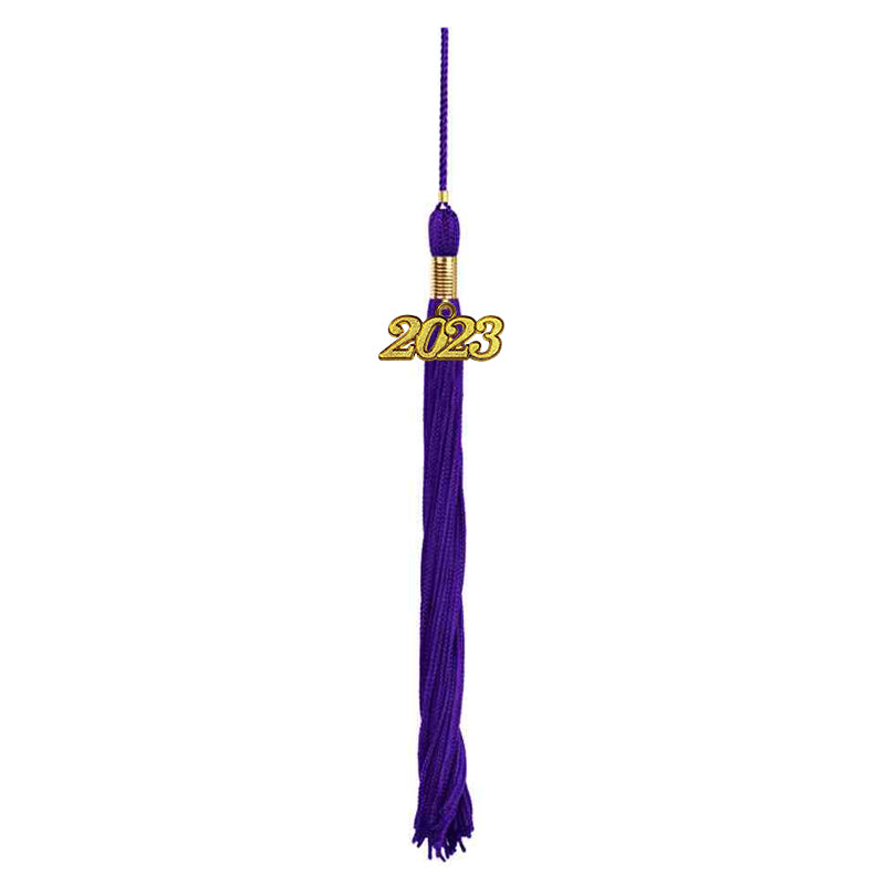 Purple Graduation Tassel - College & High School Tassels